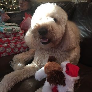 Meet your Posher, Angie